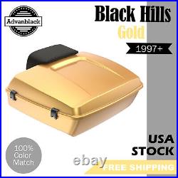 BLACK HILLS GOLD Rushmore Chopped Tour Pack Pak Fits 97+ Harley Touring/Softail